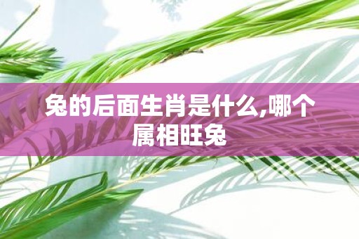 兔的后面生肖是什么,哪个属相旺兔