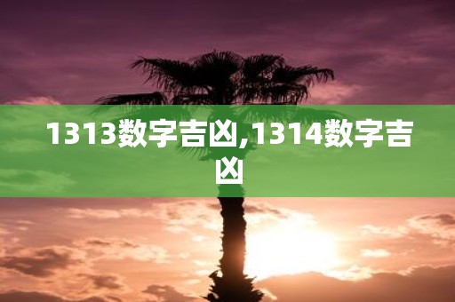 1313数字吉凶,1314数字吉凶