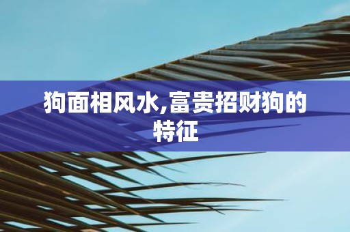狗面相风水,富贵招财狗的特征