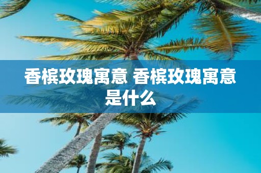 香槟玫瑰寓意 香槟玫瑰寓意是什么