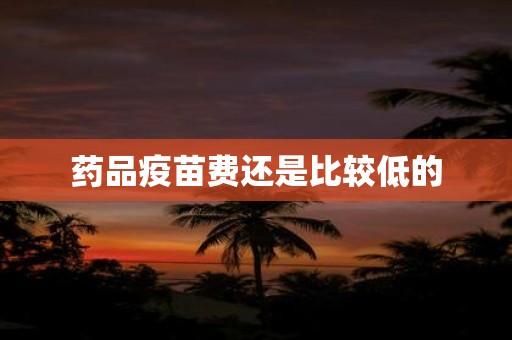 药品疫苗费还是比较低的