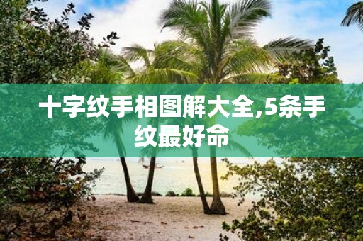 十字纹手相图解大全,5条手纹最好命