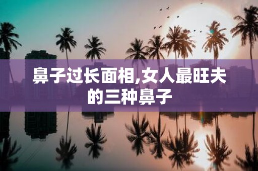 鼻子过长面相,女人最旺夫的三种鼻子
