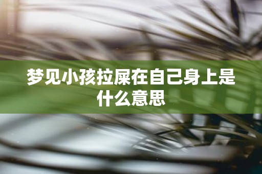 梦见小孩拉屎在自己身上是什么意思