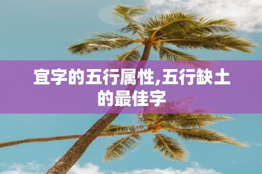 宜字的五行属性,五行缺土的最佳字