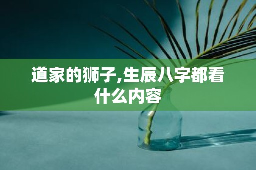 道家的狮子,生辰八字都看什么内容