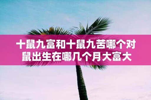 十鼠九富和十鼠九苦哪个对 鼠出生在哪几个月大富大贵
