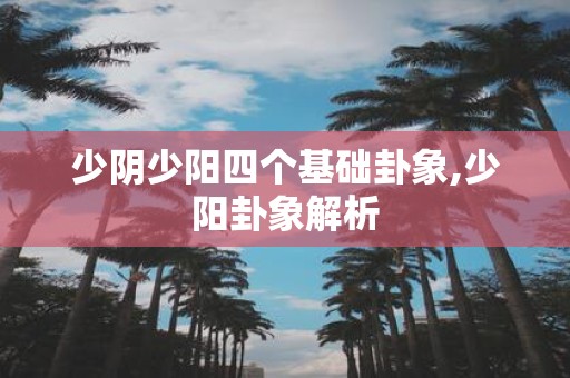 少阴少阳四个基础卦象,少阳卦象解析