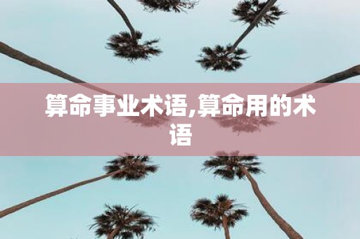 算命事业术语,算命用的术语