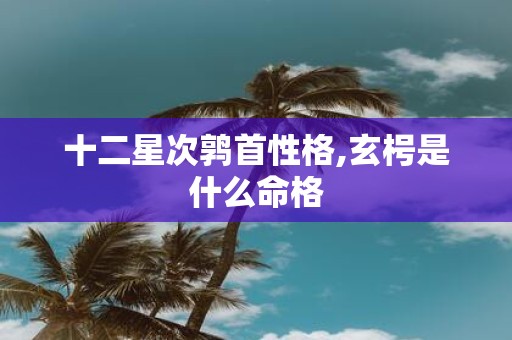 十二星次鹑首性格,玄枵是什么命格