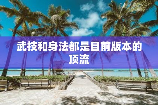 武技和身法都是目前版本的顶流