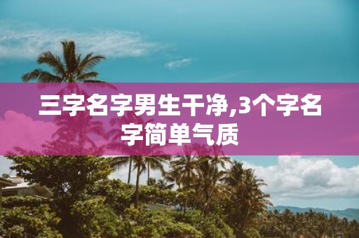 三字名字男生干净,3个字名字简单气质