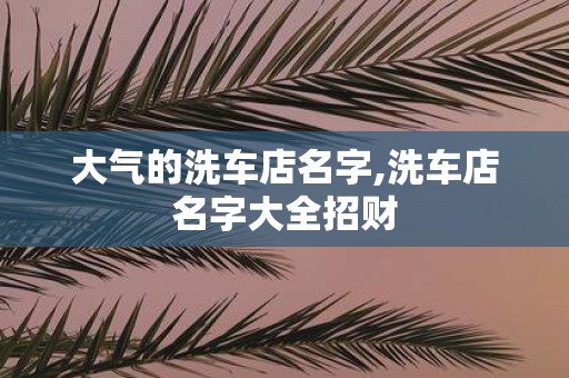 大气的洗车店名字,洗车店名字大全招财