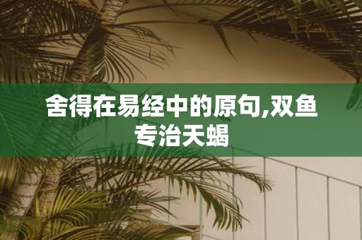 舍得在易经中的原句,双鱼专治天蝎