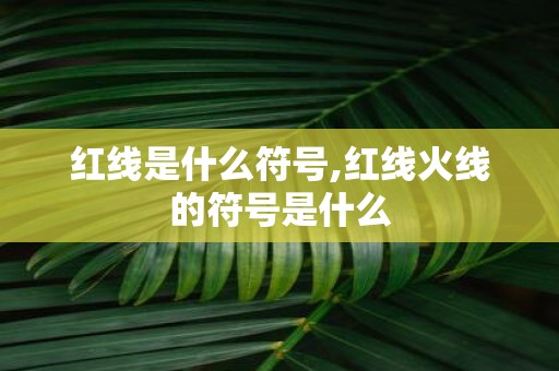 红线是什么符号,红线火线的符号是什么
