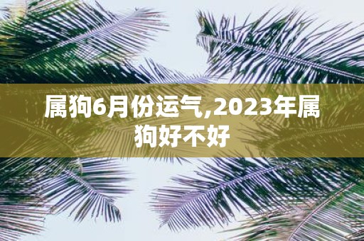 属狗6月份运气,2025年属狗好不好