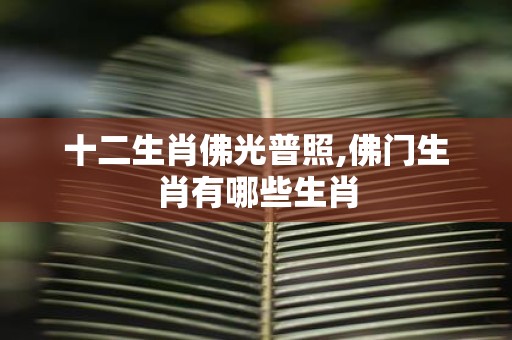 十二生肖佛光普照,佛门生肖有哪些生肖