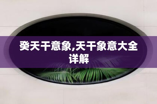 癸天干意象,天干象意大全详解