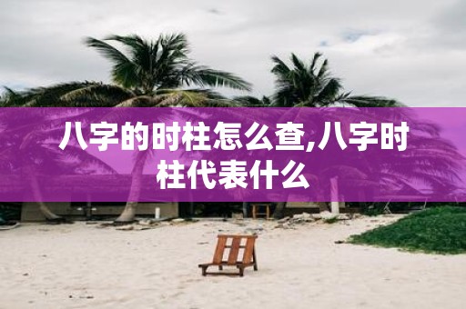 八字的时柱怎么查,八字时柱代表什么