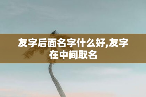 友字后面名字什么好,友字在中间取名