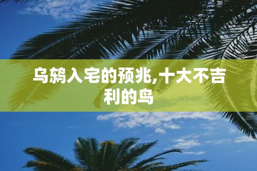 乌鸫入宅的预兆,十大不吉利的鸟