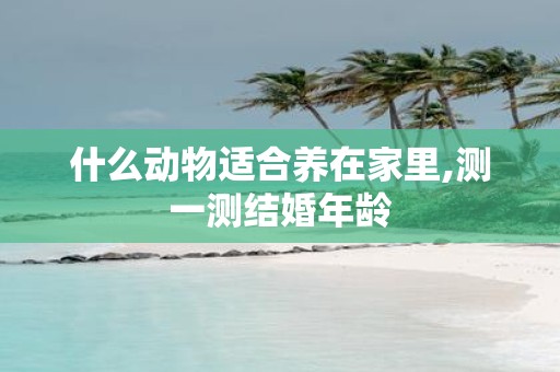 什么动物适合养在家里,测一测结婚年龄