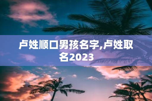 卢姓顺口男孩名字,卢姓取名2025