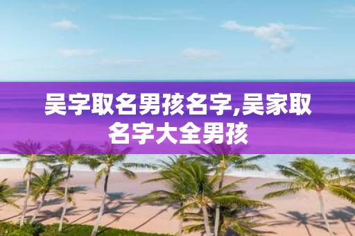 吴字取名男孩名字,吴家取名字大全男孩