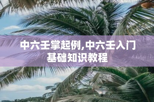中六壬掌起例,中六壬入门基础知识教程