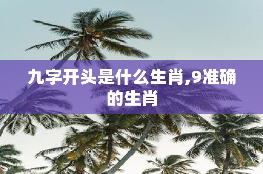 九字开头是什么生肖,9准确的生肖
