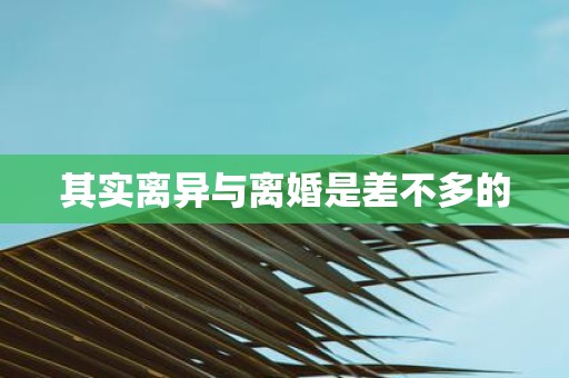 其实离异与离婚是差不多的