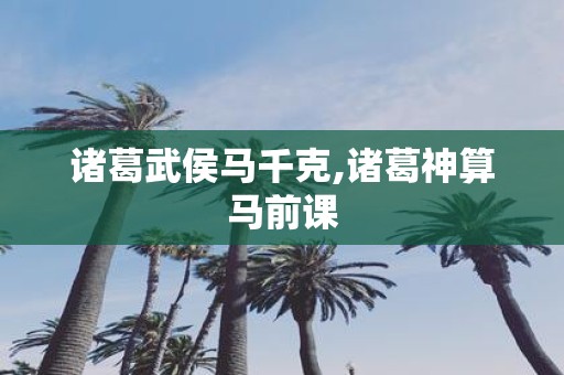 诸葛武侯马千克,诸葛神算马前课