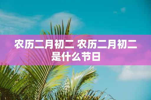 农历二月初二 农历二月初二是什么节日