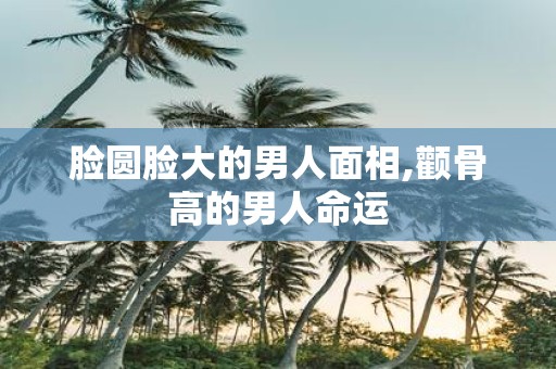 脸圆脸大的男人面相,颧骨高的男人命运