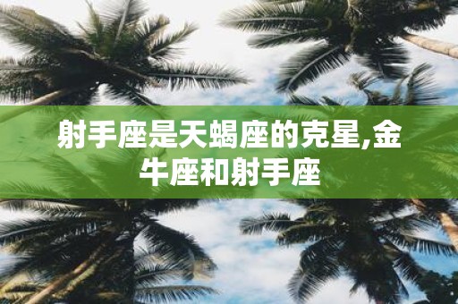 射手座是天蝎座的克星,金牛座和射手座