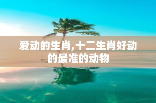 爱动的生肖,十二生肖好动的最准的动物