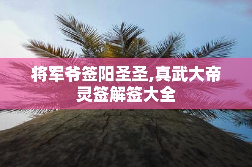 将军爷签阳圣圣,真武大帝灵签解签大全