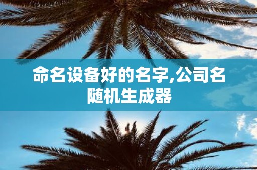 命名设备好的名字,公司名随机生成器