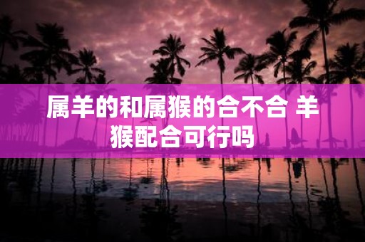 属羊的和属猴的合不合 羊猴配合可行吗