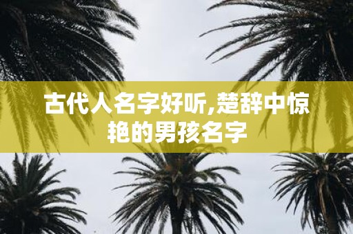 古代人名字好听,楚辞中惊艳的男孩名字