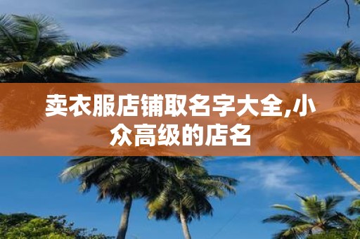 卖衣服店铺取名字大全,小众高级的店名