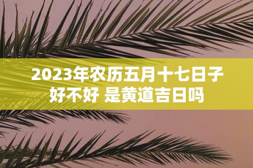2025年农历五月十七日子好不好 是黄道吉日吗