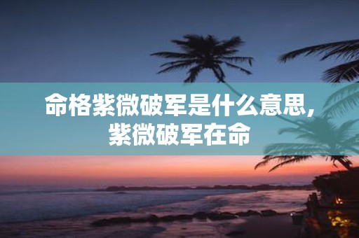 命格紫微破军是什么意思,紫微破军在命