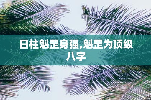 日柱魁罡身强,魁罡为顶级八字