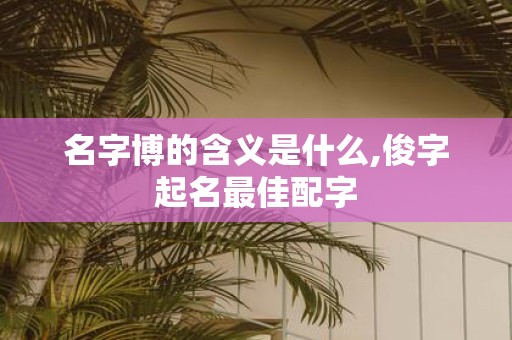 名字博的含义是什么,俊字起名最佳配字