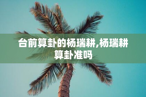 台前算卦的杨瑞耕,杨瑞耕算卦准吗