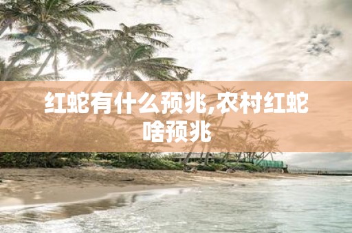 红蛇有什么预兆,农村红蛇啥预兆
