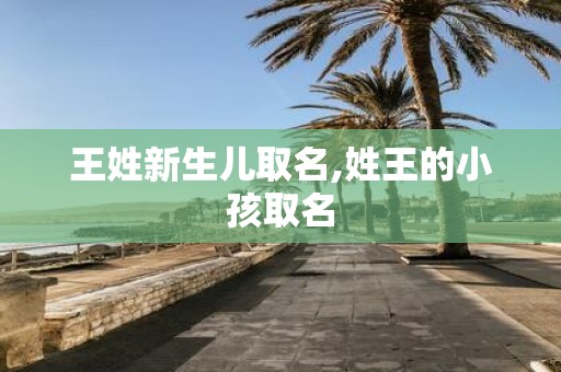王姓新生儿取名,姓王的小孩取名