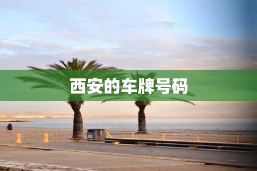 西安的车牌号码