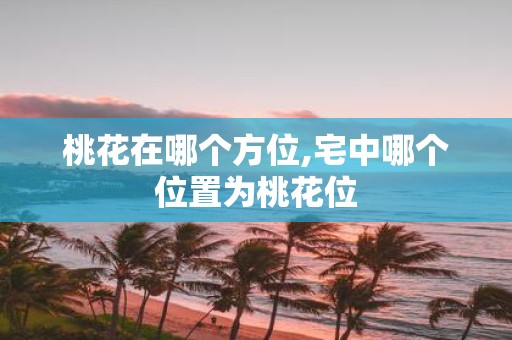 桃花在哪个方位,宅中哪个位置为桃花位